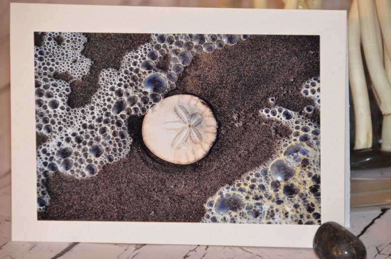 Beach photo greeting card Sand Dollar image 1