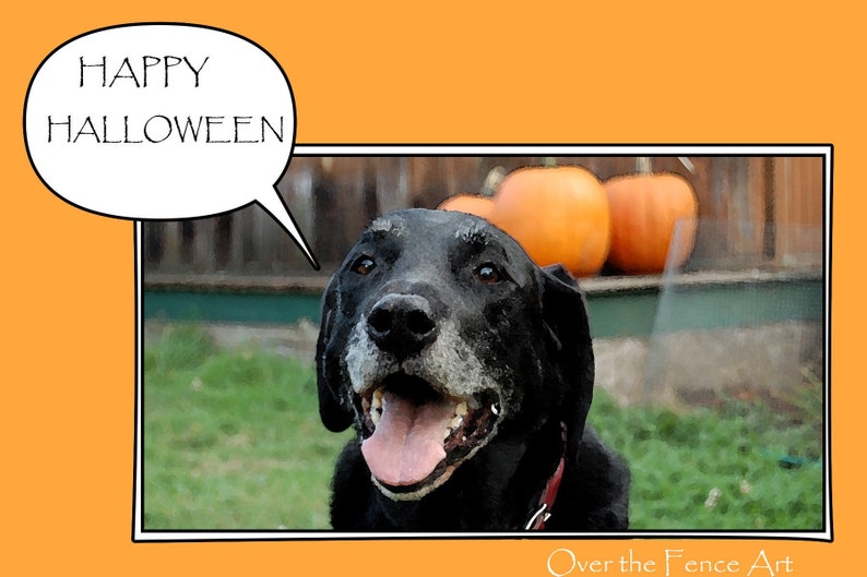 May include: A black dog with a red collar smiles with its tongue out, with the words "HAPPY HALLOWEEN" in a speech bubble. Three orange pumpkins are in the background. The image has an orange border.