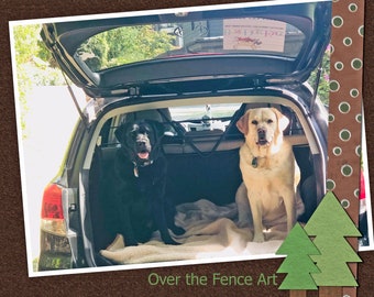 Labradors are ready for an adventure. Photo Greeting Card.