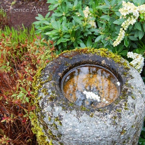 May include: A round stone birdbath with a mossy exterior and a shallow basin filled with water. White flower petals float on the surface of the water.