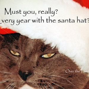 Kat kerstkaart. Grappige kerstkaart. Kat haat het om kerstmuts te dragen, kattenliefhebber cadeau, leeg van binnen voor uw persoonlijke notitie