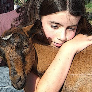 Handcrafted Photo Greeting Card, Pet Photography, Girl Gives Goat Big Hug, Blank inside image 1