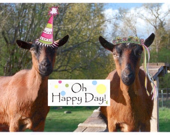 Funny Goats in Hats Celebrate with you A photo greeting card