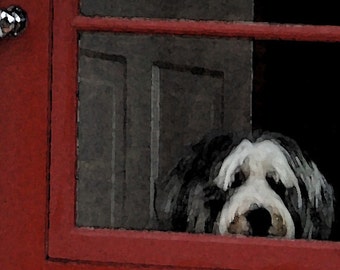 Bearded Collie Card, Animal  Photography,Fine Art Photograph,Photo Card, Handmade Card, Pet Portrait,