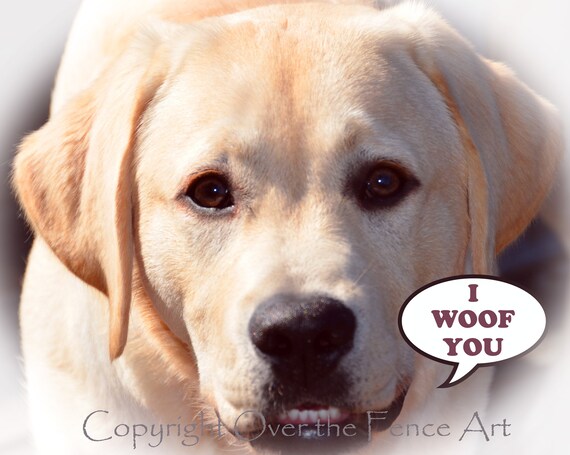 Carte Chien I Woof Vous Labrador Carte De Voeux Photographie Etsy Carte Chien I Woof Vous Labrador Carte De Voeux Photographie Etsy