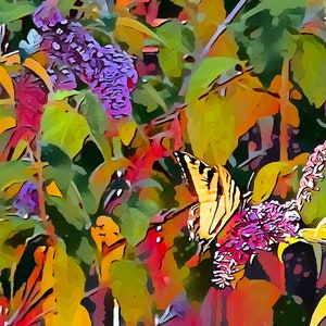 Abstrakte Grußkarte mit Schmetterling und Blumen, innen blanko für deine persönliche Notiz