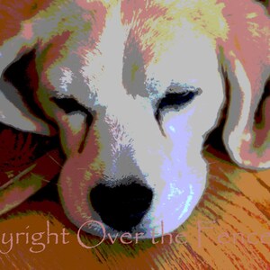 Beagle Card Beagle Napping Cute Beagle Gift for Dog Lovers