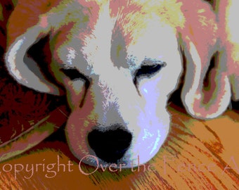 Beagle Card Beagle Napping Cute Beagle Gift for Dog Lovers