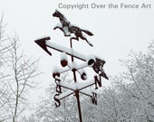 Horse Weathervane Photo Greeting Card, Fine Art Photograph,Photo Card, Handmade Card