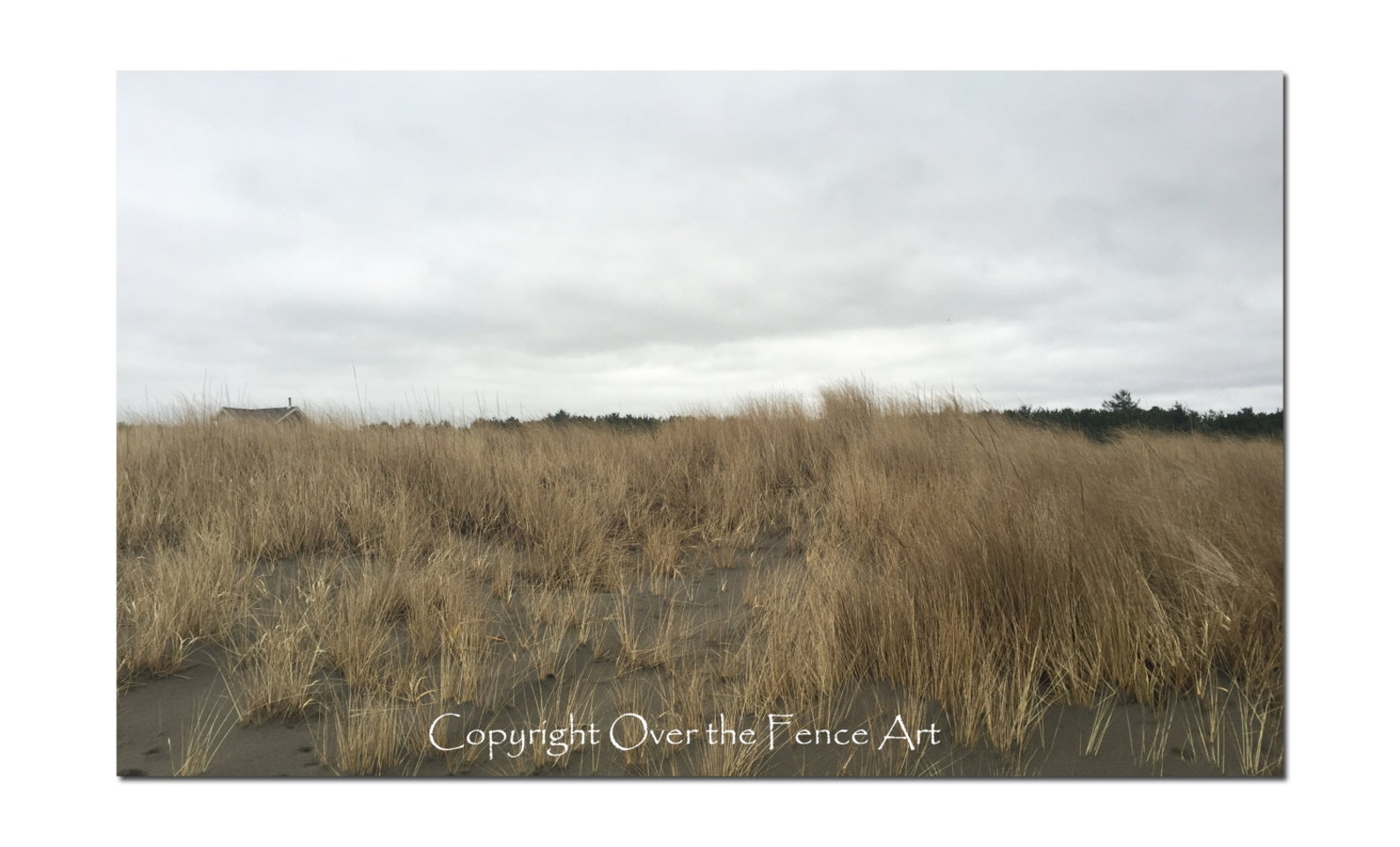 Beach Photo Card Long Beach Washington Photo Greeting Card Nature