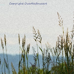 Decoratieve gras kaart landschap fotografie wenskaart blauwe luchten Minimalist handgemaakt Fotokaart
