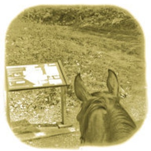 Horse Card Smart and Funny Horse Lee Trail Map en Sepia