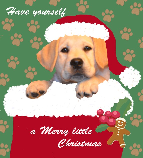 Dog Christmas Card Art Labrador Puppy in Stocking Wears Santa Hat