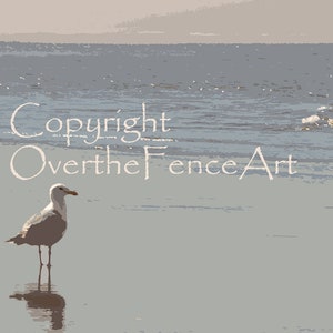 Lone Gull Photo Greeting Card, Natuurfotografie, Sea Gull Art Card, Beach Cut out art style card, blanco binnen voor uw persoonlijke notitie