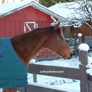 Carte de voeux photo vierge, photographie équine, cheval avec couverture d'hiver verte dans la neige avec grange rouge