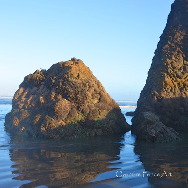 Beach Photograph Greeting Card, Beach Card, Copalis Beach at Sunrise, blank inside for your personal note