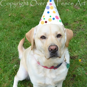 Geburtstag Karte gelbe LABRADOR Welpe mit Happy Birthday wünscht Grußkarte Hund Portrait-Kunst-Karte