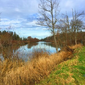 Frühlings-Landschafts-Foto-Grußkarte, Snohomish River, innen blanko für deine persönliche Notiz