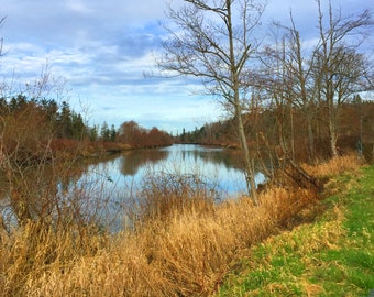 Frühlings-Landschafts-Foto-Grußkarte, Snohomish River, innen blanko für deine persönliche Notiz