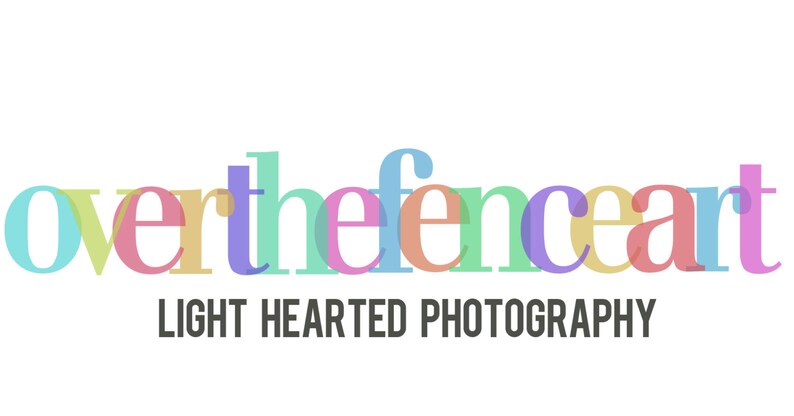 May include: The words "over the fence art" are displayed in a colorful, layered font, with each letter in a different pastel hue. Below, the text "LIGHT HEARTED PHOTOGRAPHY" appears in a dark gray, sans-serif font.