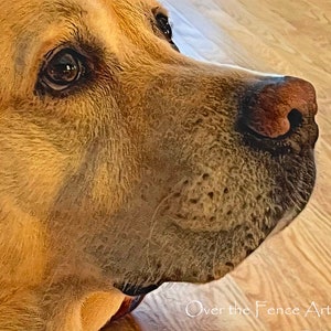 Schöne gelbe Labrador Kunst Grußkarte, innen blanko für deine persönliche Notiz