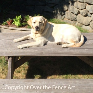 Labrador ontspant op picknicktafel, wanneer is lunch?, wenskaart, leeg binnen voor uw persoonlijke notitie
