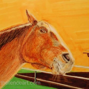 Horse Art Card, Happy Horse Smiles terwijl je een Belly Rub krijgt, paardenverzorging, buikkrabben, kaart blanco binnen voor je persoonlijke notitie