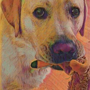 Dog Art Grußkarte, Gelber Labrador genießt es, ein Spiel zu spielen, innen leer für Ihre persönliche Notiz
