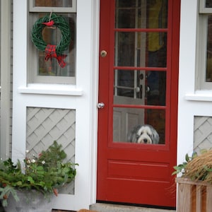 Carte de Noël pour chien Collie barbu attendant à la porte par Christmas Wreath Dog Photography image 1