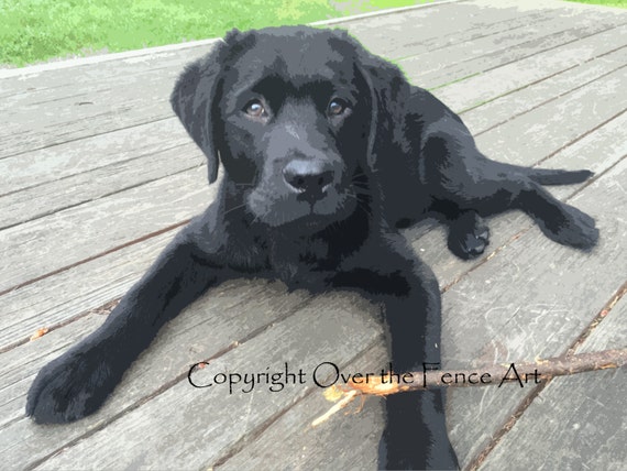 Carte De Chien Labrador Noir Chiot Joue Avec Carte De Voeux De Bâton