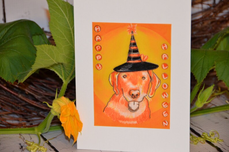 May include: A greeting card with an orange background and a cartoon dog wearing a witch's hat. The text "Happy Halloween" is written in orange letters on the card.