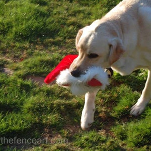 Labrador kerst wenskaart, grappige gele labrador grinch loopt weg met de kerstmuts, leeg binnen voor uw persoonlijke notitie