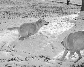 Labradors Card Handmade  Pet Photography Two Happy  Yellow Labradors Play in the Snow