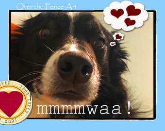 Border Collie Send Love to You A Greeting Card