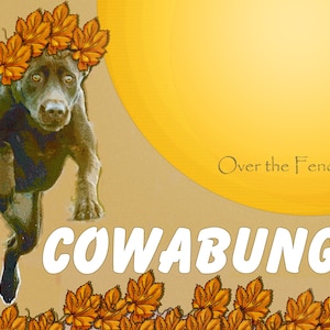 Cowabunga!, Saltando entre las hojas de otoño, una tarjeta de felicitación con foto de Labrador, en blanco por dentro para tu nota personal