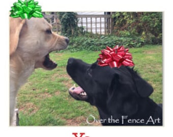 Funny Labradors Christmas Greeting Card,blank inside for your personal note,Merry Christmas you filthy animal