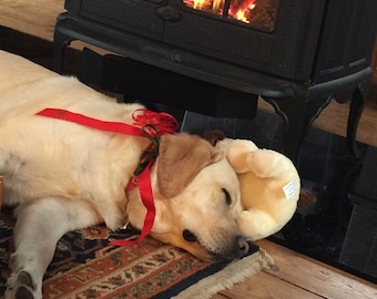 Holiday Greeting Card, Yellow Labrador sleeps by fire with Red Christmas Ribbon, card is blank inside for your personal note