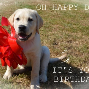 Gelbe Labrador sendet Happy Birthday Wünsche mit dieser Hunde Grußkarte; Lab Portrait Kunst karte