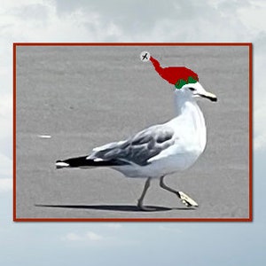 Gabbiano sulla spiaggia Si veste per stupire per le vacanze Un biglietto di auguri