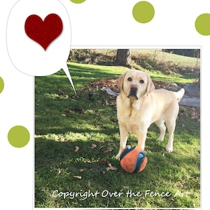 Foto Grußkarte, gelber Labrador sagt Throw the ball!, innen leer für deine persönliche Notiz