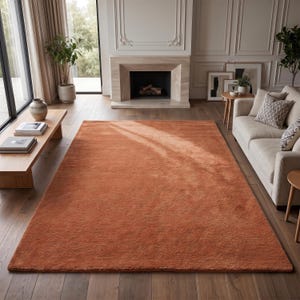 May include: A rectangular area rug in a solid burnt orange color with a soft, plush texture. The rug features a uniform, dense pile surface that covers the floor space, providing a consistent color and texture throughout the entire piece.