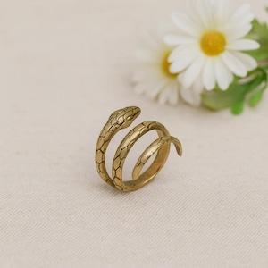 Könnte beinhalten: Ein goldfarbener Ring in Form einer aufgerollten Schlange. Der Kopf der Schlange ist erhoben, und ihr Körper wickelt sich um den Finger. Der Ring hat ein strukturiertes, schuppenartiges Muster. Gänseblümchen sind im Hintergrund.