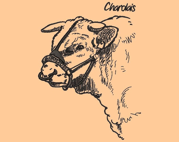 Charolais Cow Embroidery Design: Farm Animal Digital File (7.7x7.0 inches)