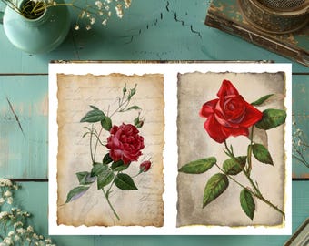 Red Rose Junk Journal Pages: Vintage Floral Scrapbook Paper (A4 Digital Download