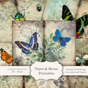 Pagine di diario di entomologia, kit di carta per album digitali, insetti vintage stampabili, download di entomologia, effimere di farfalle per collage