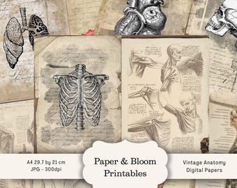 Vintage Anatomy Junk Journal Pages : documents médicaux éphémères, illustrations du corps humain (téléchargement numérique A4 JPG)