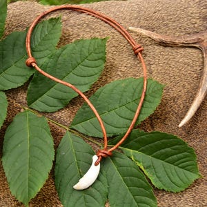 Collier de dent - vrai collier de dent d&#39;animal, os de cerf, nature, respectueux de l&#39;environnement, bizarrerie, ensemble cadeau