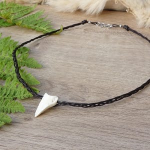 Könnte beinhalten: Eine schwarze geflochtene Kordelkette mit einem weißen, zahnförmigen Anhänger. Die Halskette hat einen silbernen Verschluss und wird auf einer Holzoberfläche mit grünen Farnblättern präsentiert.