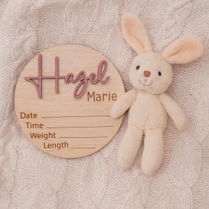 Personalized Baby Announcement Sign, Custom Baby Name Plaque, Birth Stats Sign, Newborn Keepsake, Nursery Decor, Baby Shower Gift
