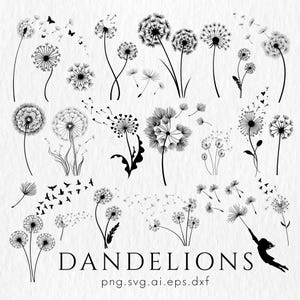 Puede incluir: Ilustración en blanco y negro con múltiples plantas de diente de león en varias etapas de dispersión de semillas. La palabra "Dandelions" está escrita en negrita. También se incluye una silueta de una persona agarrada a una cabeza de semilla de diente de león.